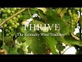 Thrive: The Kentucky Wine Tradition (Full Documentary)