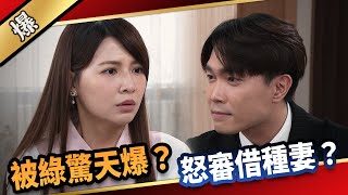 《八點檔搶先爆》愛的榮耀 EP150 被綠驚天爆？ 怒審借種妻？