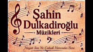 Şahin Dulkadiroğlu - Hayat Sen Ne Çabuk Harcadın Beni
