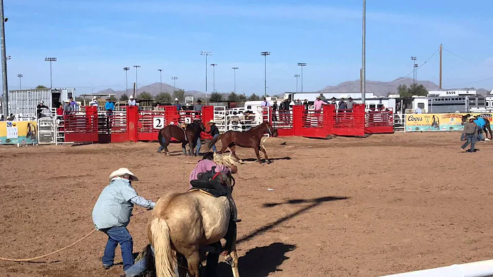 Wild Horserace O'odham Tash 2016