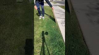Famous Would you ever paint your lawn? #lawn #lawncare #petratools #lawnpaint #greenthumb #diy #asmr #green Profile