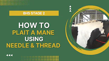 BHS Stage 2: How To Plait a Mane Using Needle & Thread.