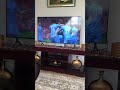 FIFA 24