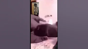 يا سعود لا تنشد على الحال يا سعود 