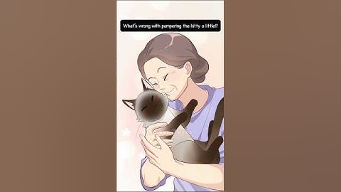 Special Cat #cat #shorts #animation