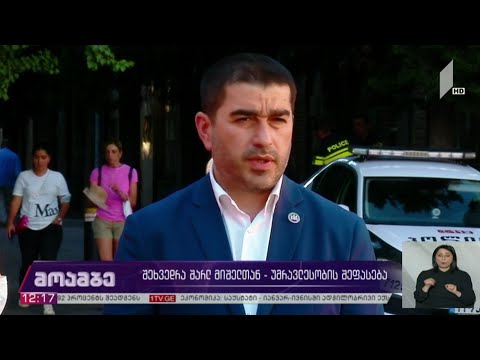 შეხვედრა შარლ მიშელთან - უმრავლესობის შეფასება