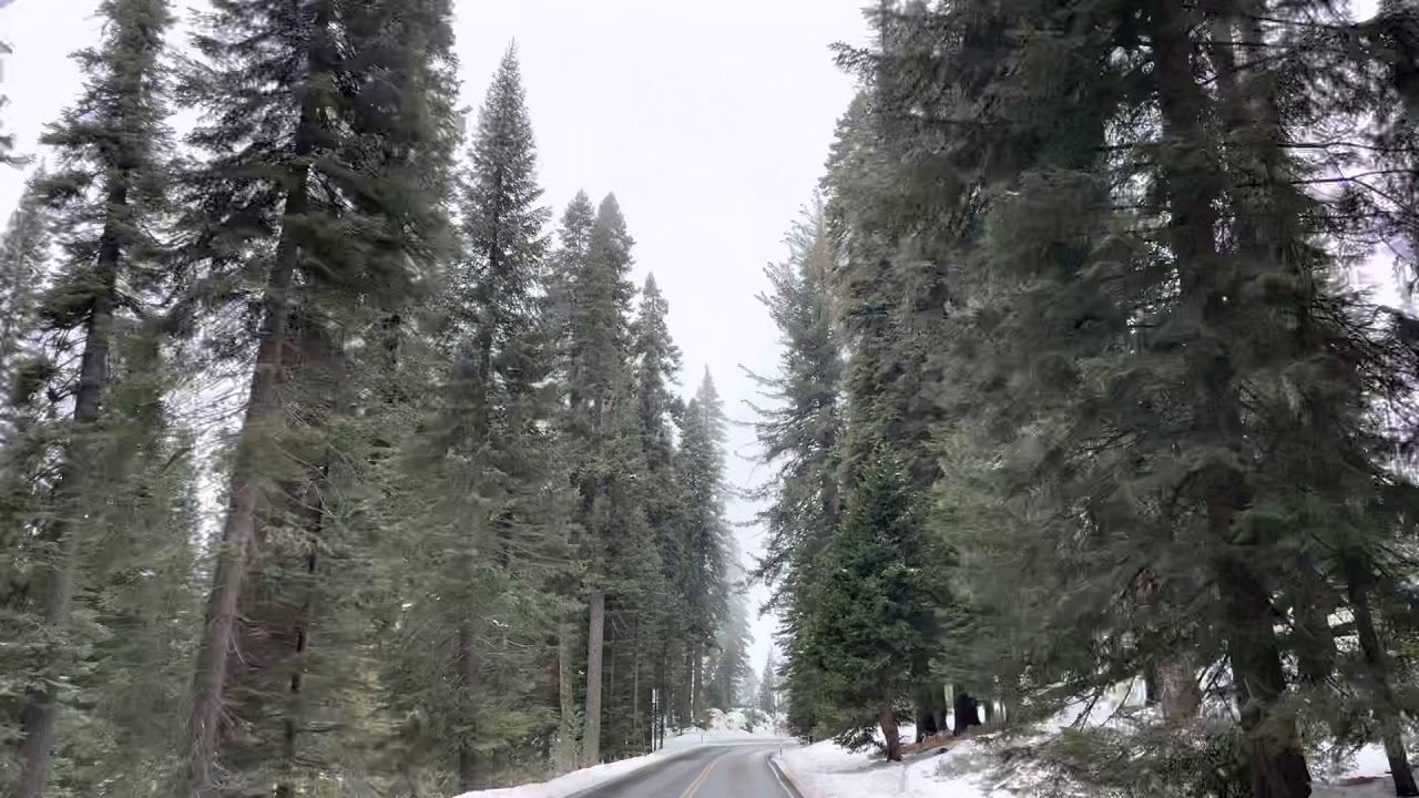Driving through Sequoia National Park during Winter 2021