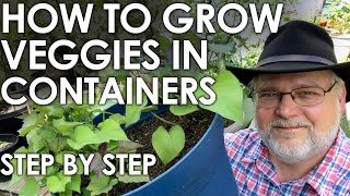 How to Grow Vegetables in Containers  A Step by Step Guide || Black Gumbo