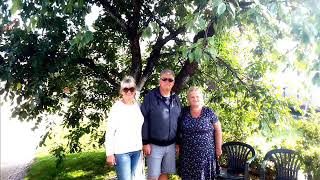 Download Lagu TU ATEINI LYG AUŠRINĖ Valdemaras MP3