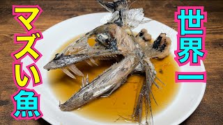 猫も食わない深海魚「ミズウオ」を拾って食べる（※オニプレートトカゲも拾うしタルマワシも食べる）