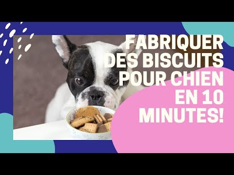 Vidéo: Comment faire des biscuits pour chiens avec compote de pommes