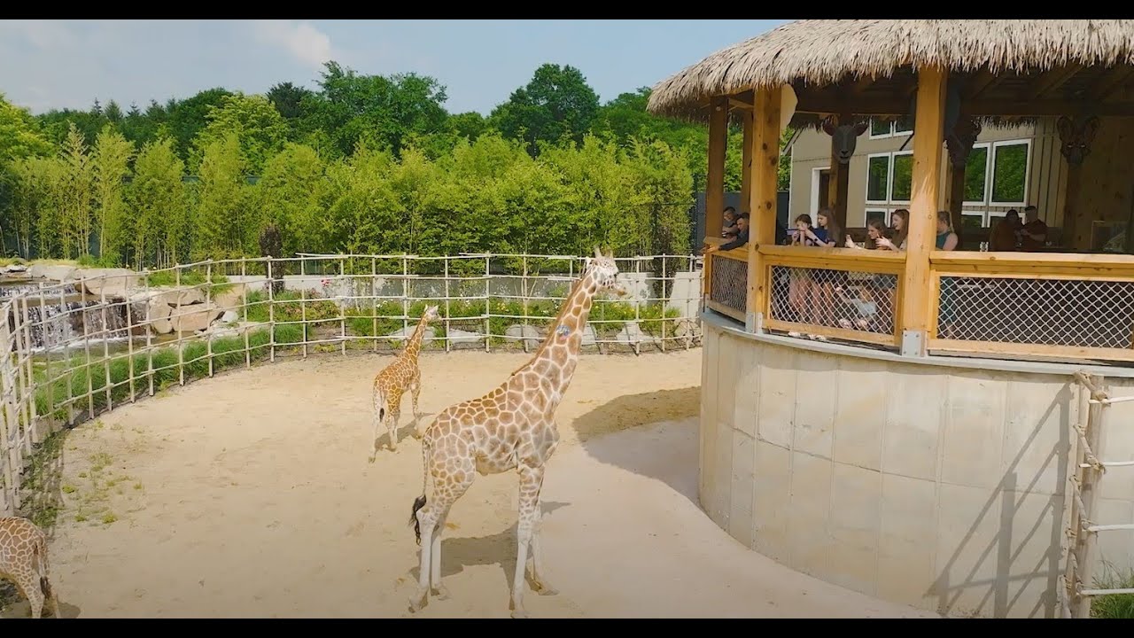 White Post Animal Farm