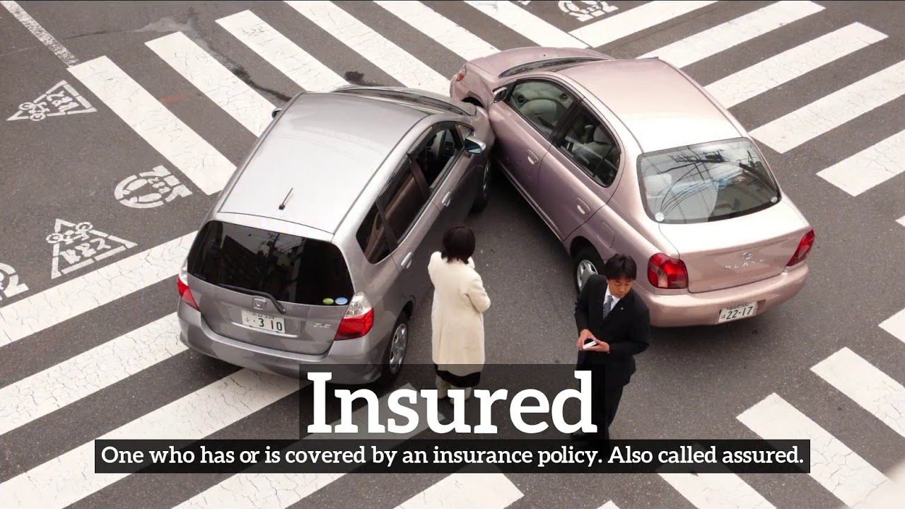 What is Insured? | How Does Insured Look? | How to Say Insured in English?