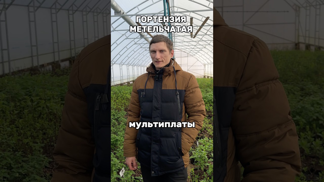 ❗️❗️ ПО ВОПРОСАМ И ЦЕНЕ:+375296011066 все мессенджеры!