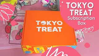 Tokyo Treat Subscription Box February 2023 | Japanese Snack Box