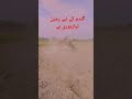 گندم کے لیے زمین تیارہوری ہے