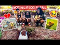 My Dogs Funeral 😰 | *Emotional*