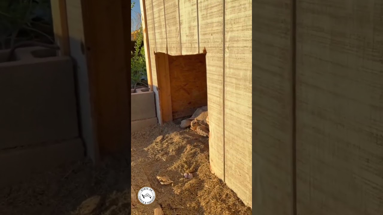 making sure they get that vitamin D ☀️👀