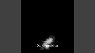 Xa ungekho