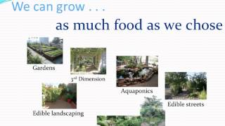 Food Oasis in the Sonoran Desert
