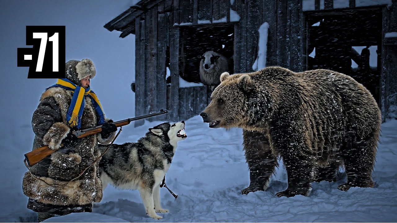 🐻❄️ 75-YEAR-OLD WOMAN DEFENDS SHEEP AND CONFRONTS GIANT BEAR AT -71°C ❄️🐺