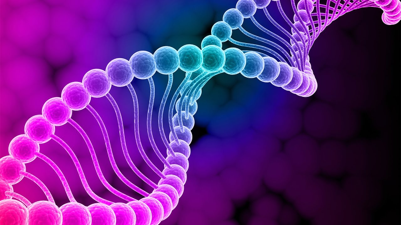 dns true ล่าสุด New Update 528Hz | Bring Positive Transformation | Heal Golden Chakra | Whole Body Cell Repair