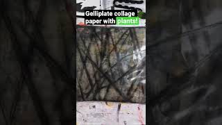 Making collage paper with plants 🪴 #gelliplate #gelliprint #monoprinting #collageart #abstractart