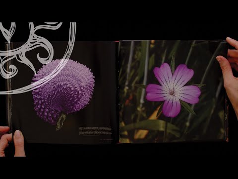 SEEDS Time Capsules Of Life By Rob Kesseler Wolfgang Stuppy Book Flip Through