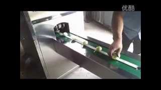 Small Onion Root Cutting Machine_CNM Machinery