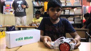 Puppy Robot - Etch Bricks