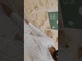 Jannatul Baqi Madina Qabristan #Madina #viral #ytshorts #hussaini #Allah #islam