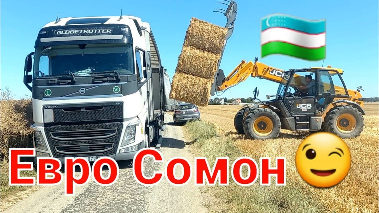 Франциядан Молларга сомон🐄😉#дальнабой #европа #гиртека