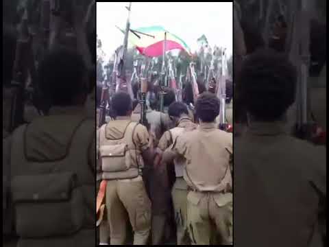 Hara Fano Shewa Command Amhara Shewa ፋኖ ፋኖ Debo TodayNews Ethiopianmusic Ethiopia Habesha