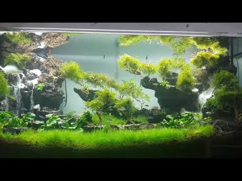 Video Thác cát với thảm nền ngưu mao chiên - sand & water - youtube
