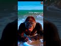 “Tourists Shocked! Gorilla Making Beach Vlog 😎🐵”
