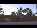 Felly - Low Low (Official Music Video)