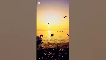 Allah و ل ك م ف ي ٱل ق ص اص ح ي اة ي ـ أ و ل ي ٱل أ ل ب اب شارك تؤجر Share And Be Rewarded 