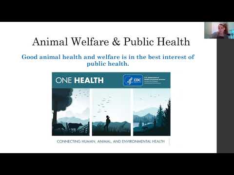 Video: Human-Animal Interactions and COVID-19