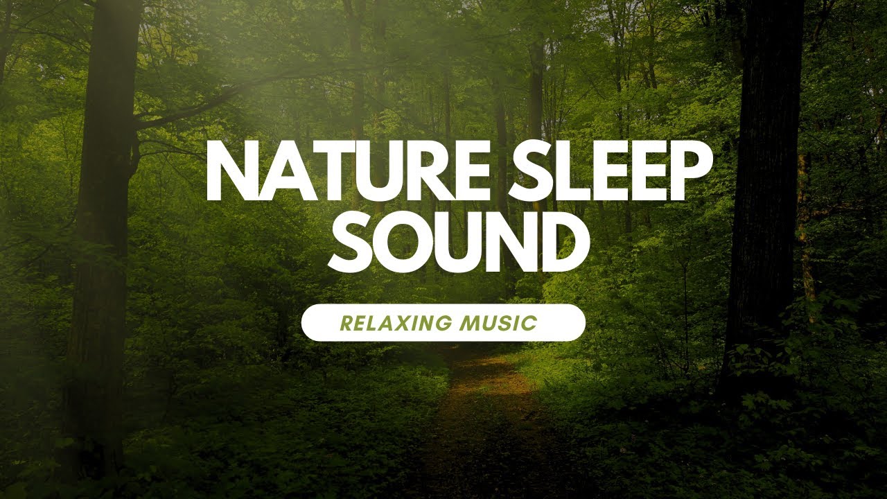 Relaxing Music with Nature Sounds- Forest Music, Sleep Music ...