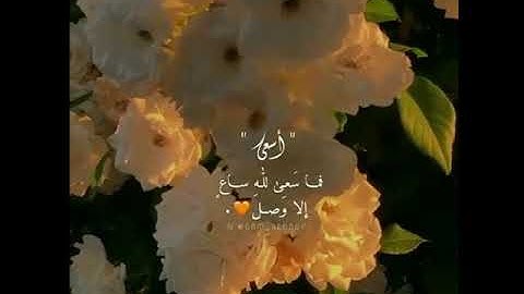 آيات خاشعة بصوت القارئ إسلام صبحي | ارح سمعك | حالات واتس اب دينية