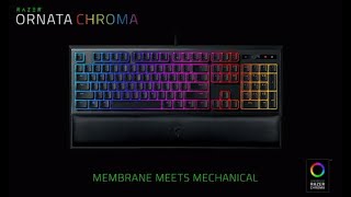 Razer Ornata Chroma светится но не работает! Отключение демонстрационного режима! РЕШЕНИЕ 2020!