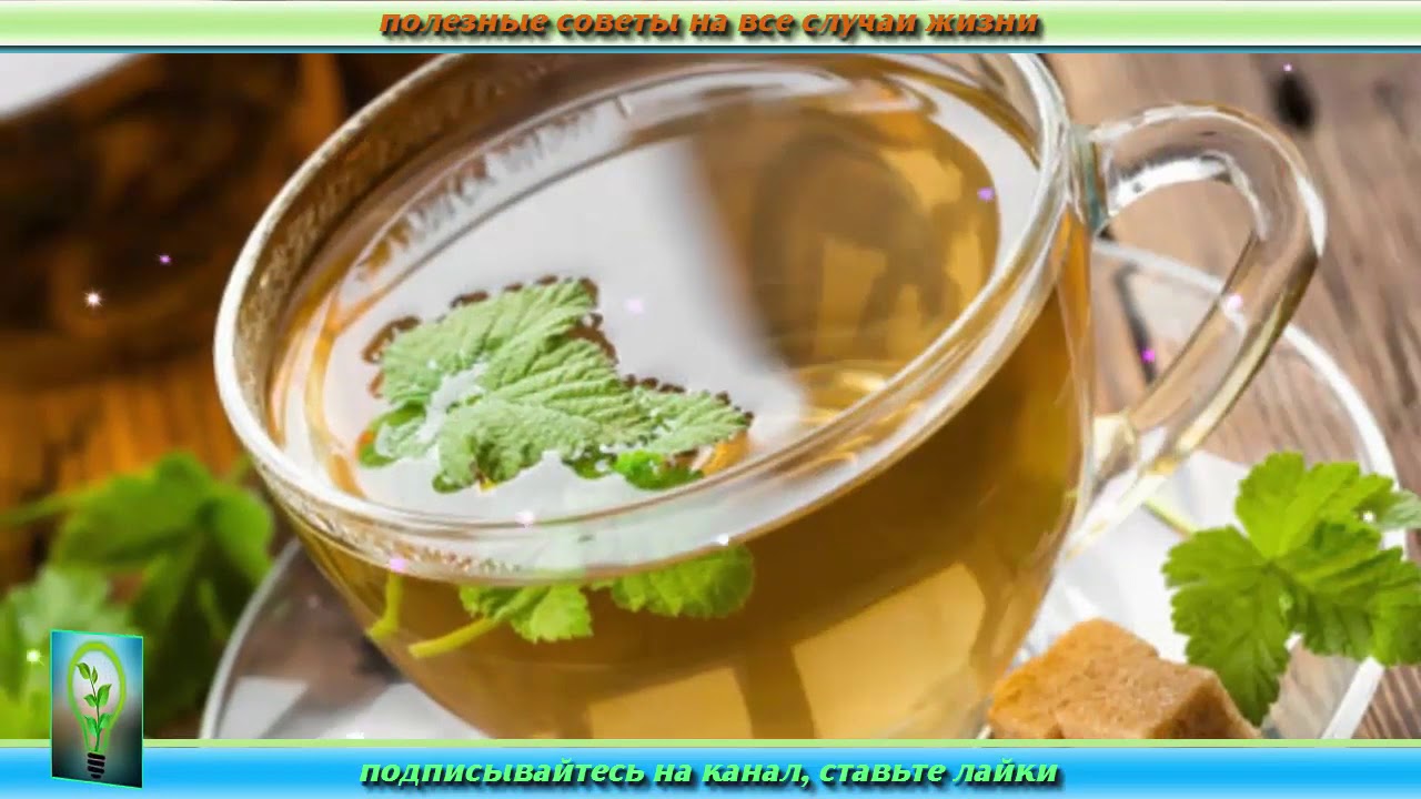 Как БЫСТРО избавиться ОТ ПОХМЕЛЬЯ Старинный напиток НАРОДНОЙ МЕДИЦИНЫ в ...