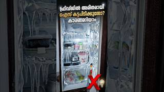 ഫ്രിഡ്ജിൽ ഐസ് കട്ടപിടിക്കുന്നതിൻ്റെ കാരണങ്ങളും  പരിഹാരങ്ങളും | Excel electricals