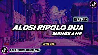 DJ Alosi Ripolo Dua Remix Viral TikTok Terbaru 2022 Full Bass