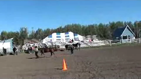 Janette and Felix showmanship