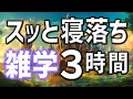 【眠れる男性の声】パタっと寝落ちできる雑学朗読3時間【睡眠用・寝ながら聴ける】