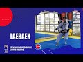 Taekwondo taebaek o taebek poomsae moodukkwan bluematacademy