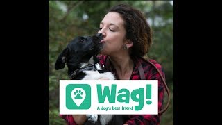 Check out my video discussing my experience with Wag! RIGHT NOW GET...