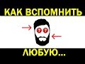 Как быстро Вспомнить любую информацию [BrainShow]