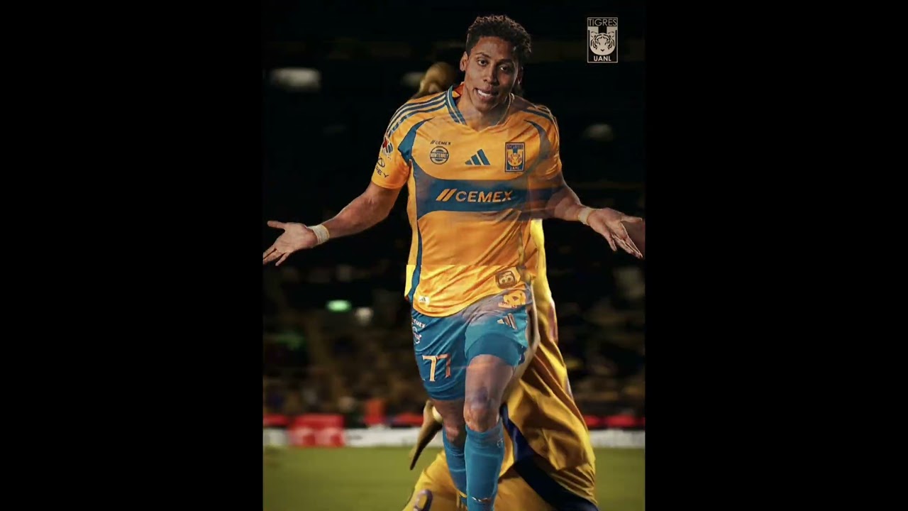 Reel Futbol
